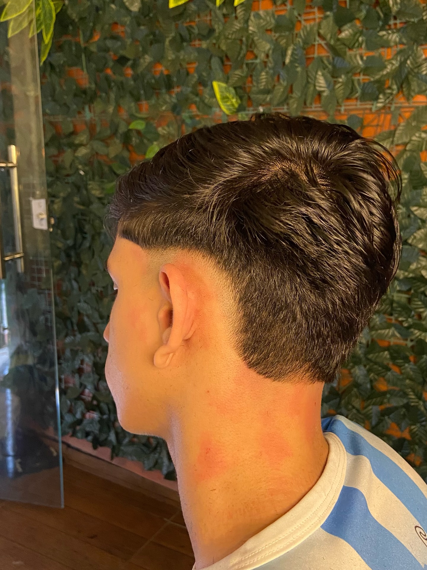 Degradê / traseira